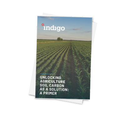 Carbon Whitepaper