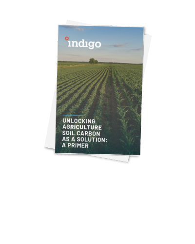 Carbon Whitepaper