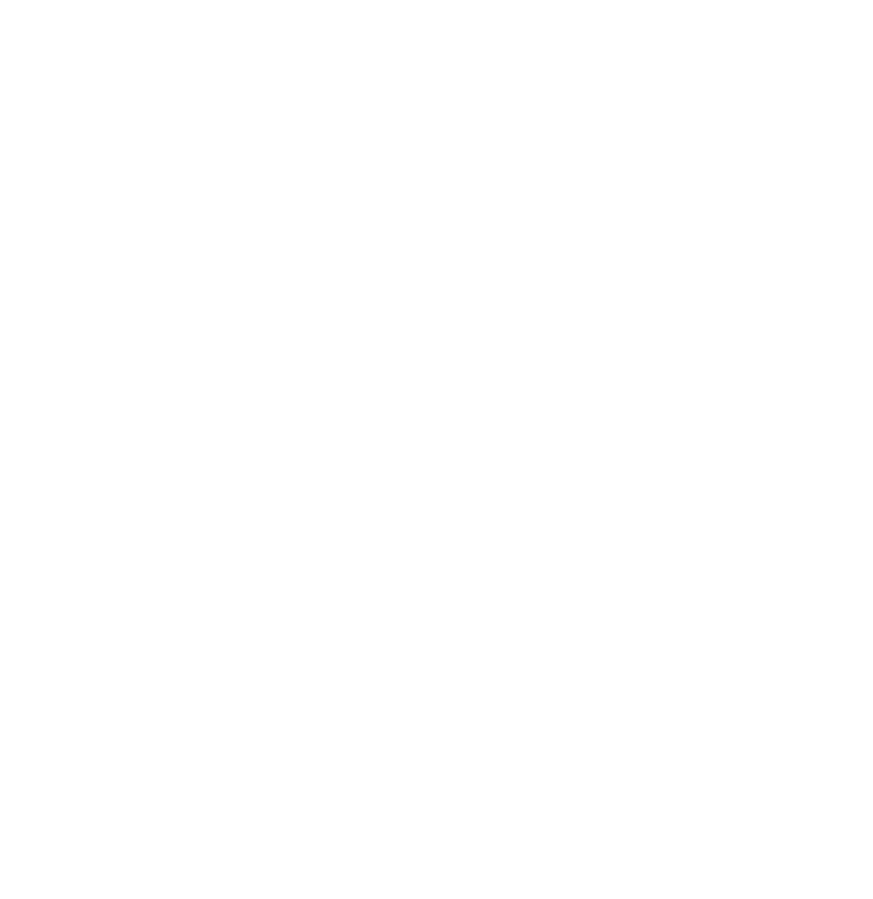 Globe Icon
